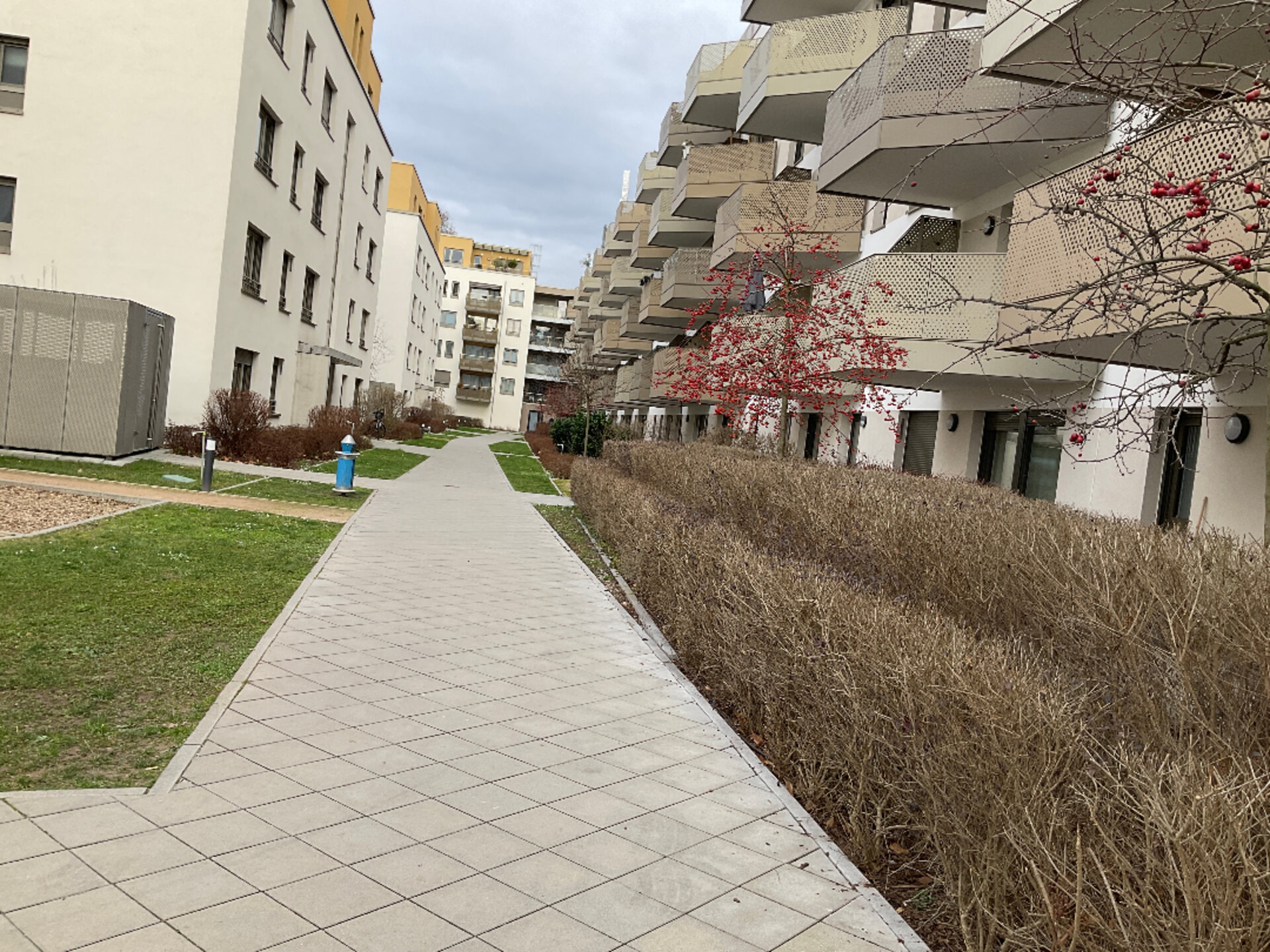 20250130_103933717_iOS.jpg | © Dawonia