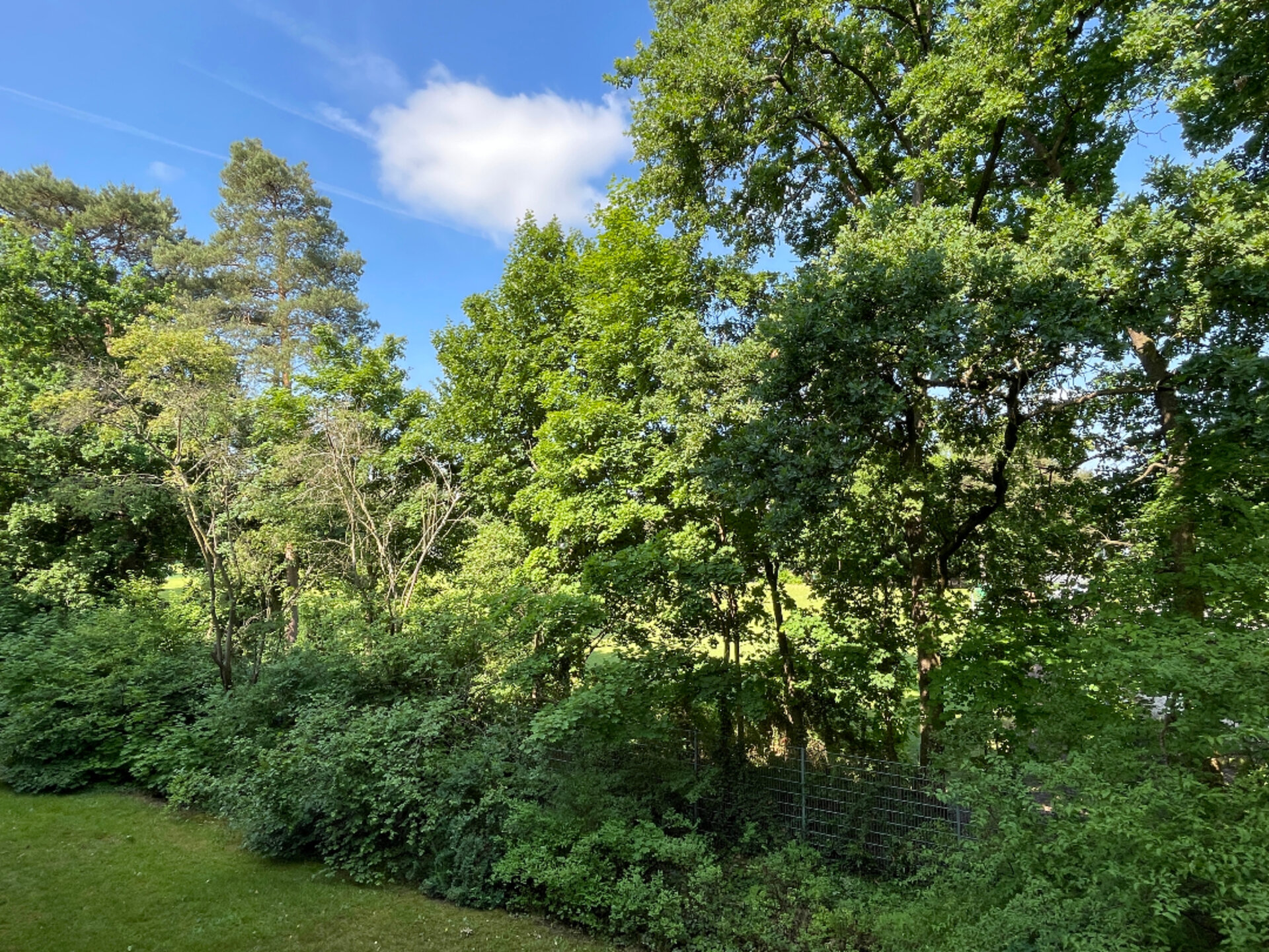 Blick vom Balkon | © Dawonia