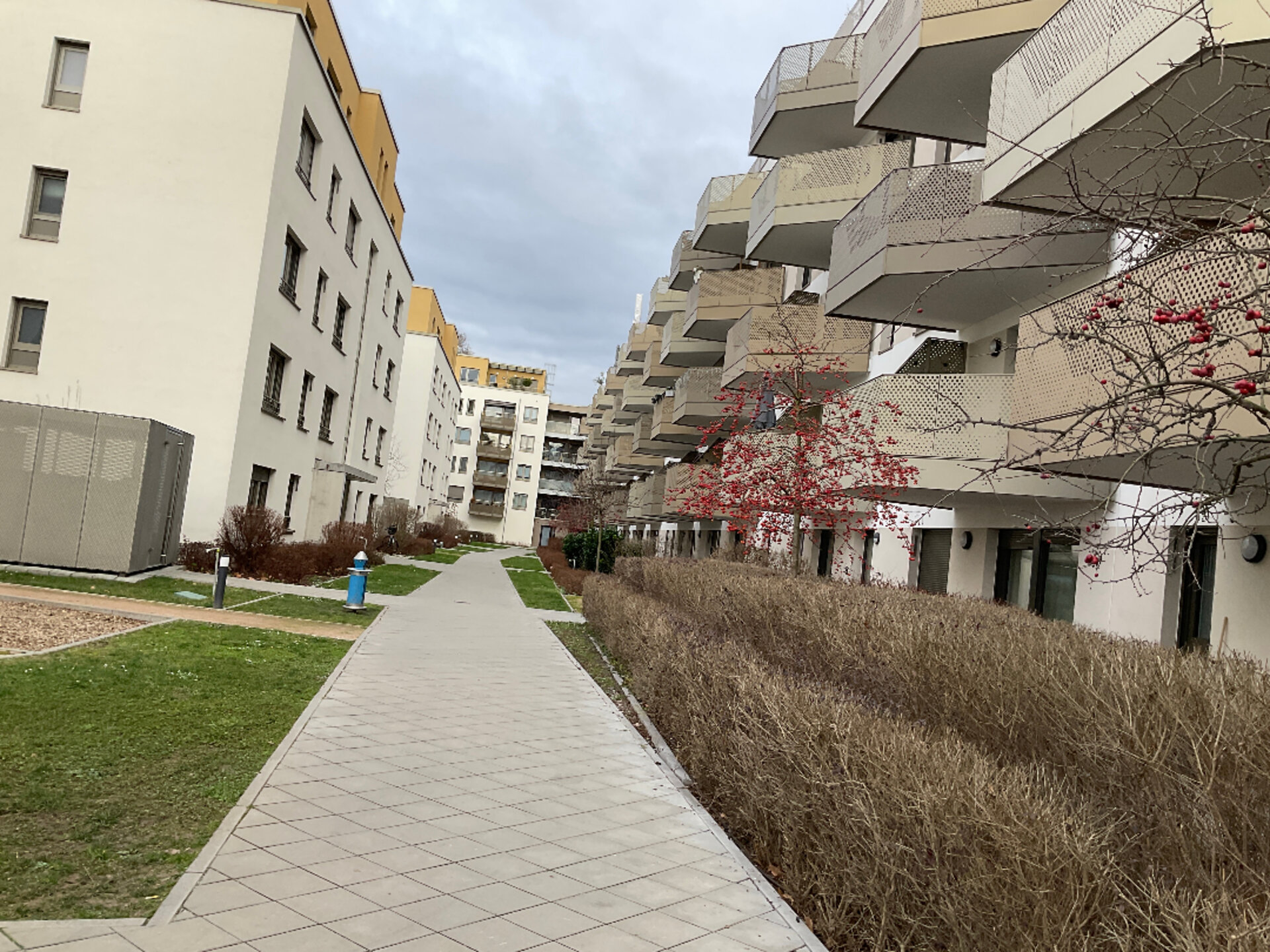 20250130_103935421_iOS.jpg | © Dawonia