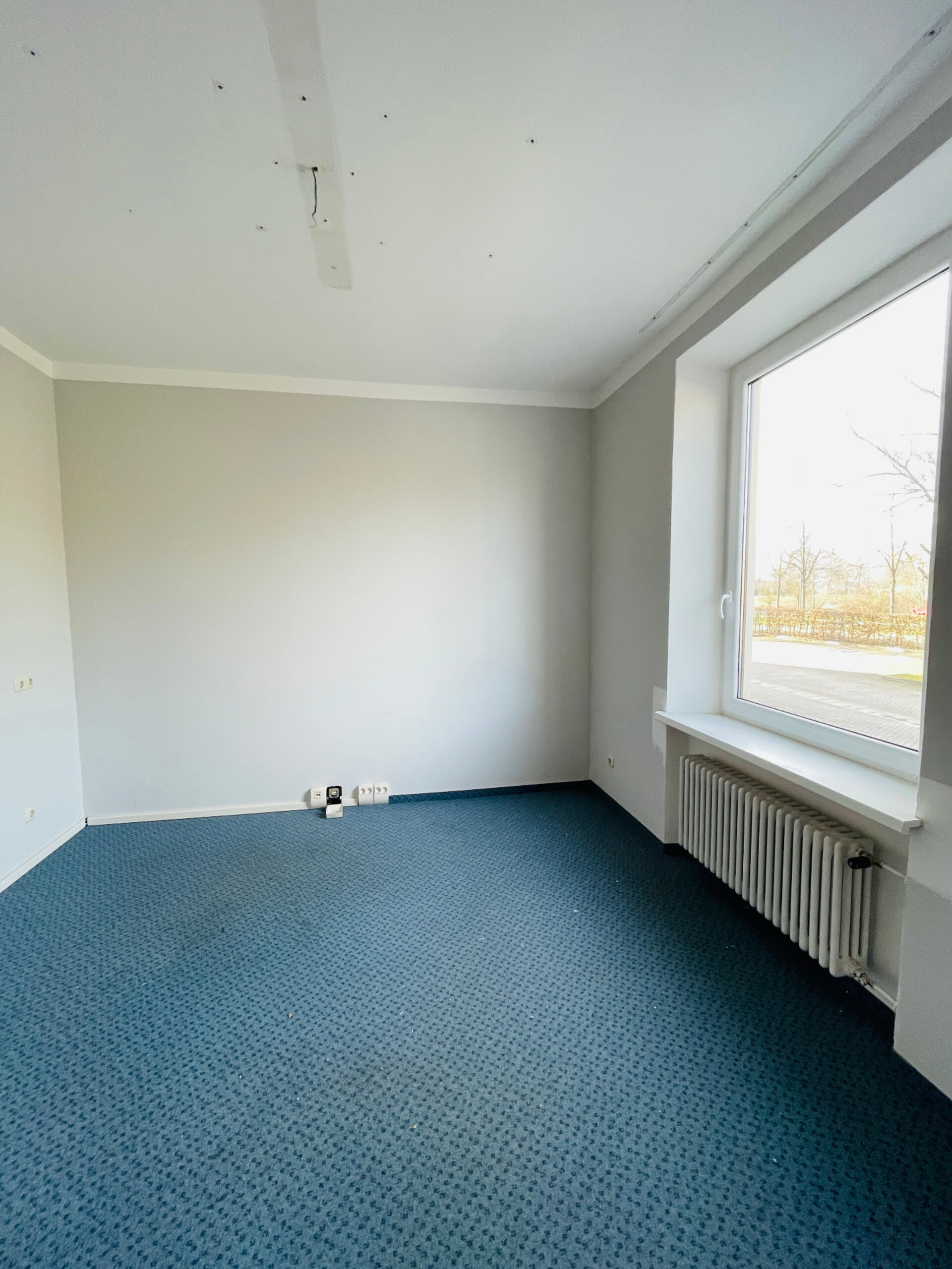 sep. Raum 2.jpeg | © Dawonia