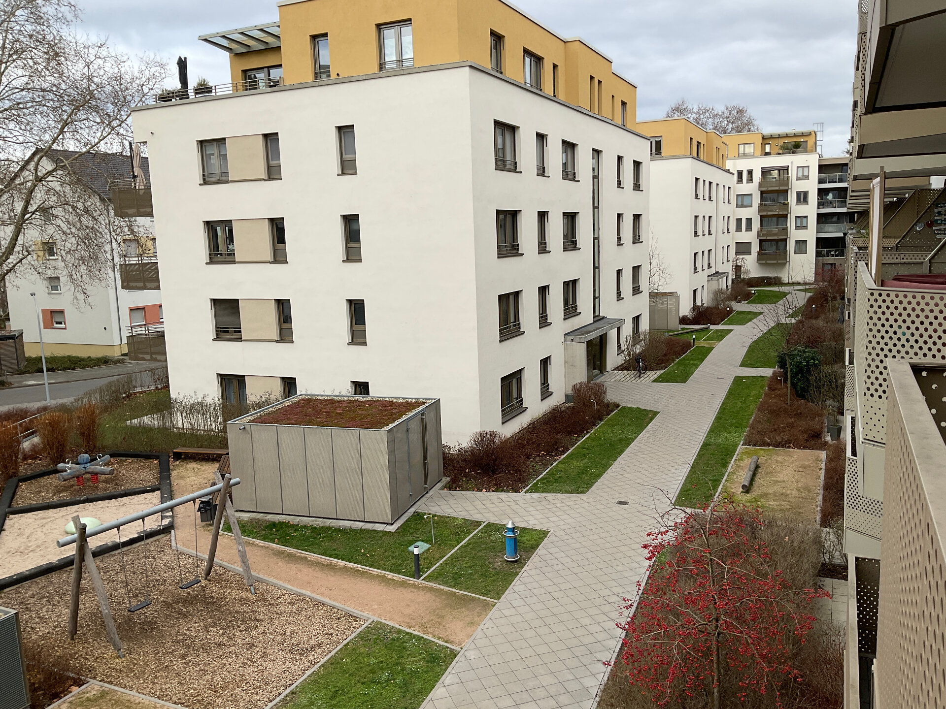 20250130_103229765_iOS.jpg | © Dawonia 20250130_103229765_iOS.jpg | © Dawonia