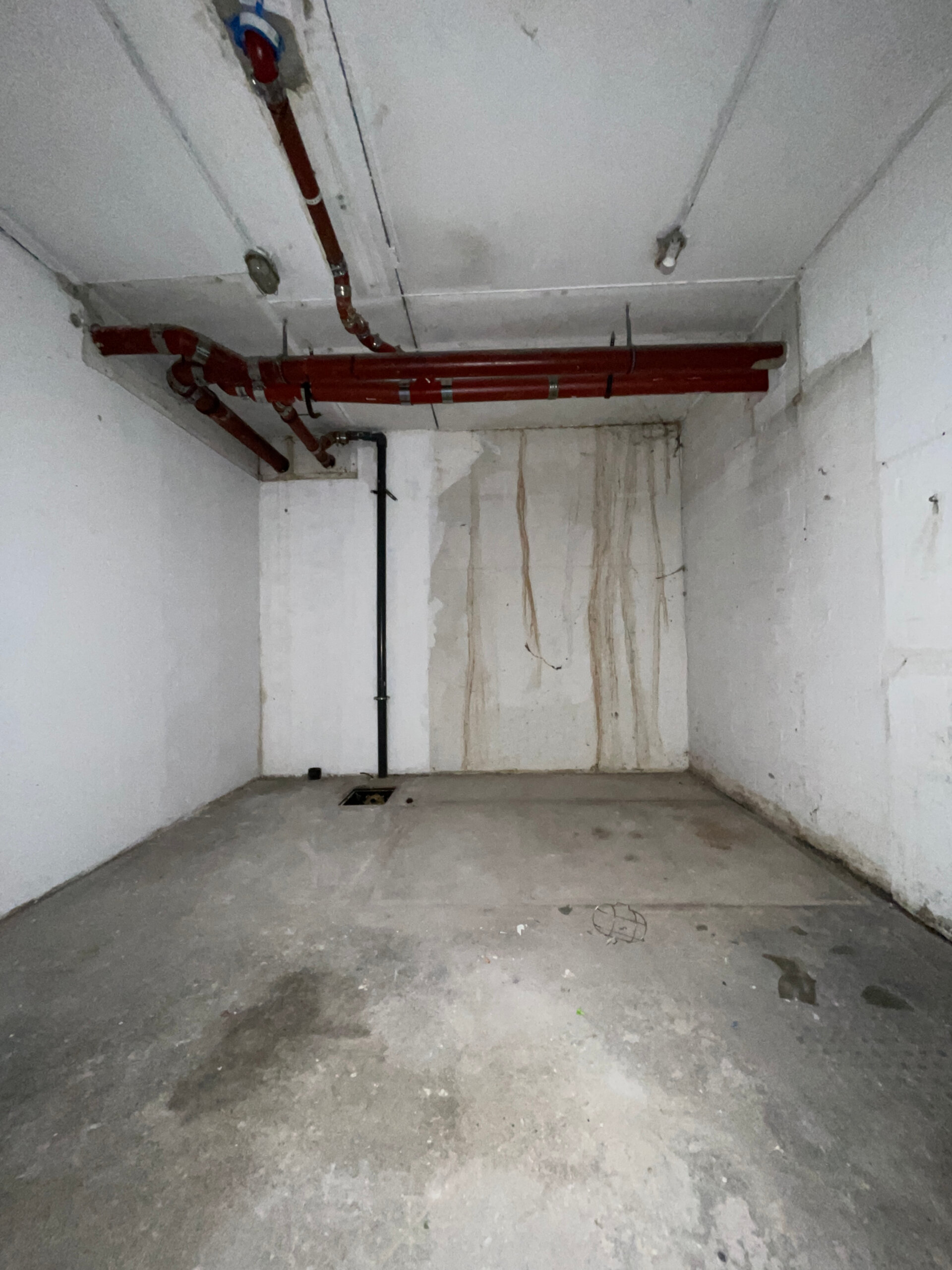 Keller.jpeg | © Dawonia