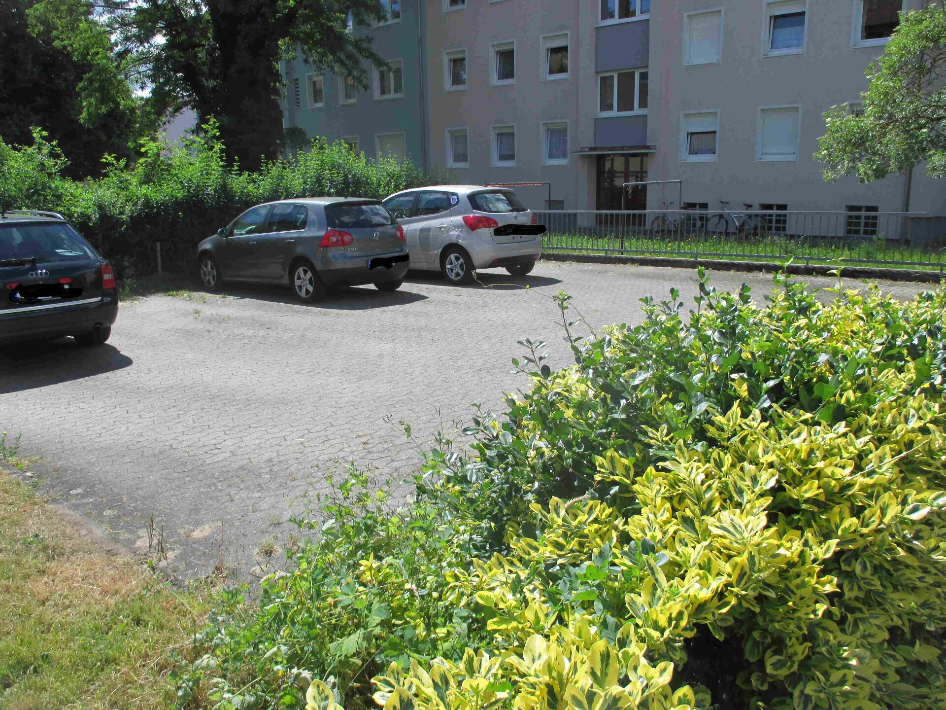 c1d9edc3-44a7-4f99-bf96-063e01641830.jpg | © Dawonia