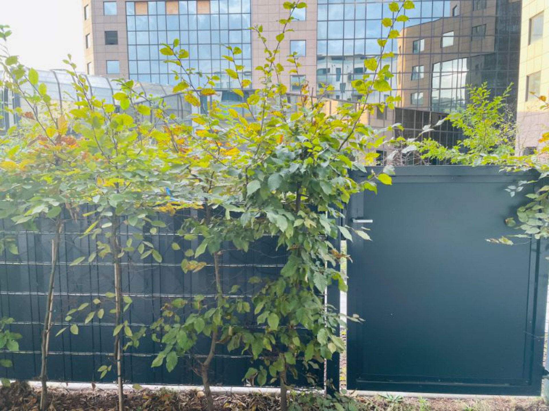 Terrasse | © Dawonia