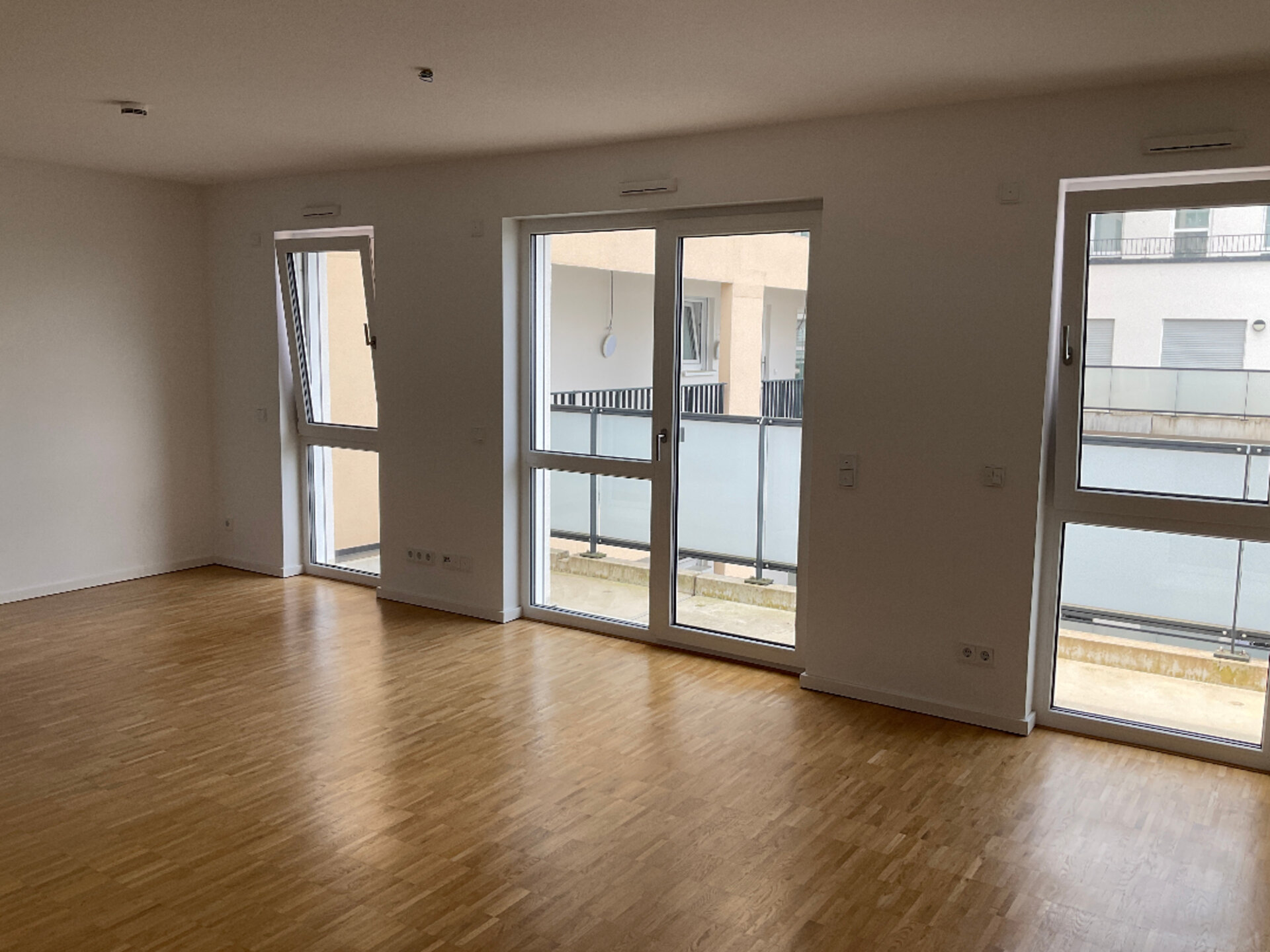 IMG_2984.JPG | © Dawonia