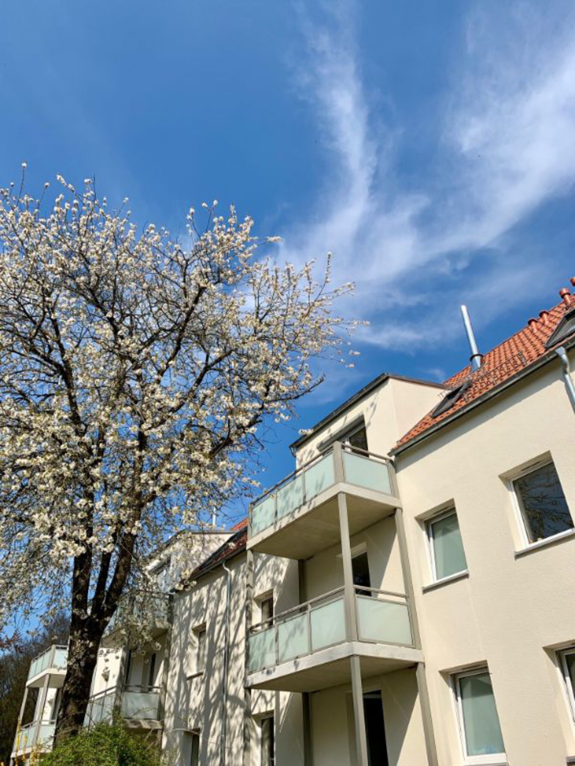 Außenansicht | © Dawonia