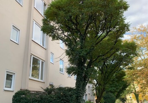 IMG-bbc192b5d4854ef8899a3f7e93f168fe.jpg | © Dawonia