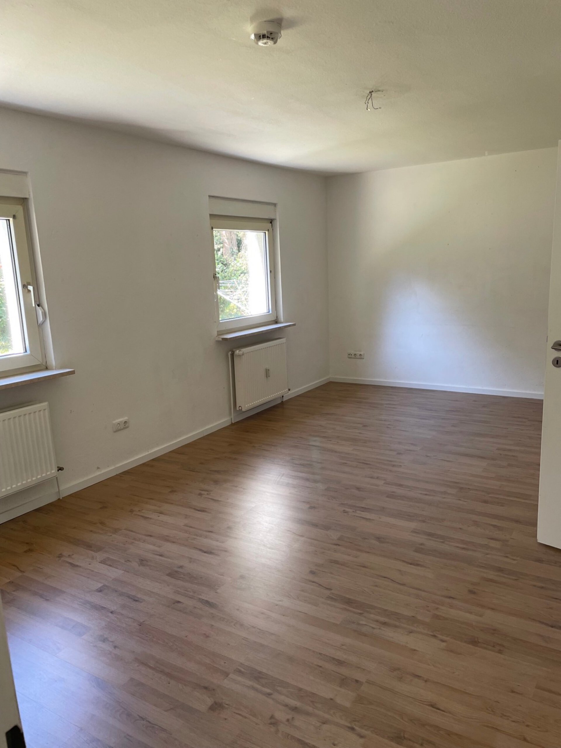 WZ.jpeg | © Dawonia