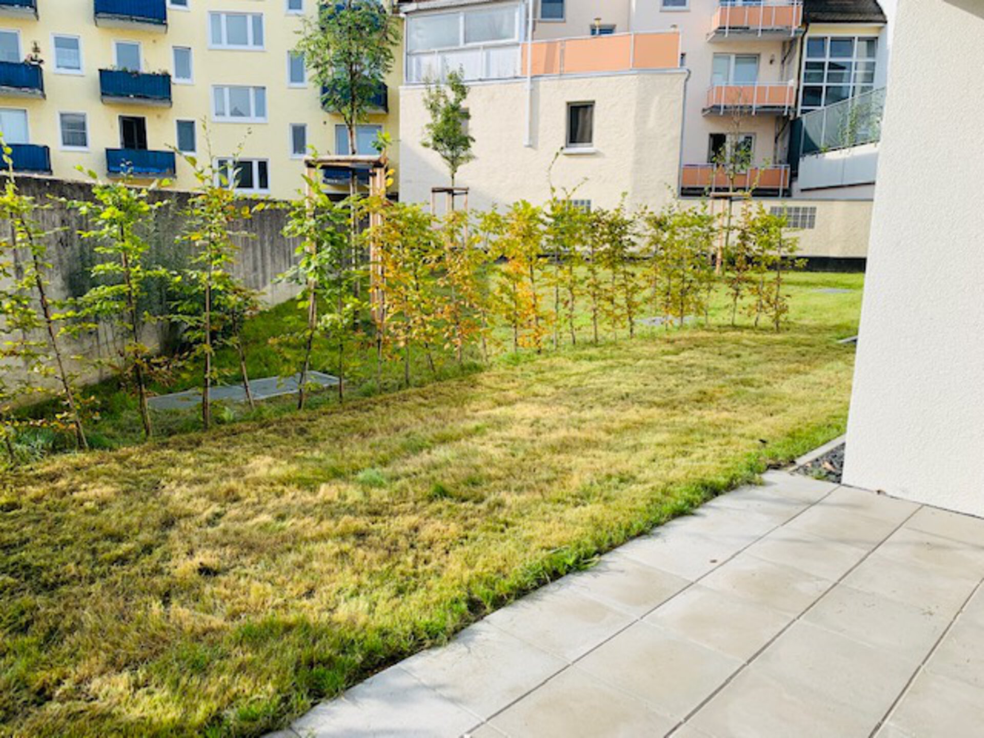 Terrasse mit Grünfläche | © Dawonia