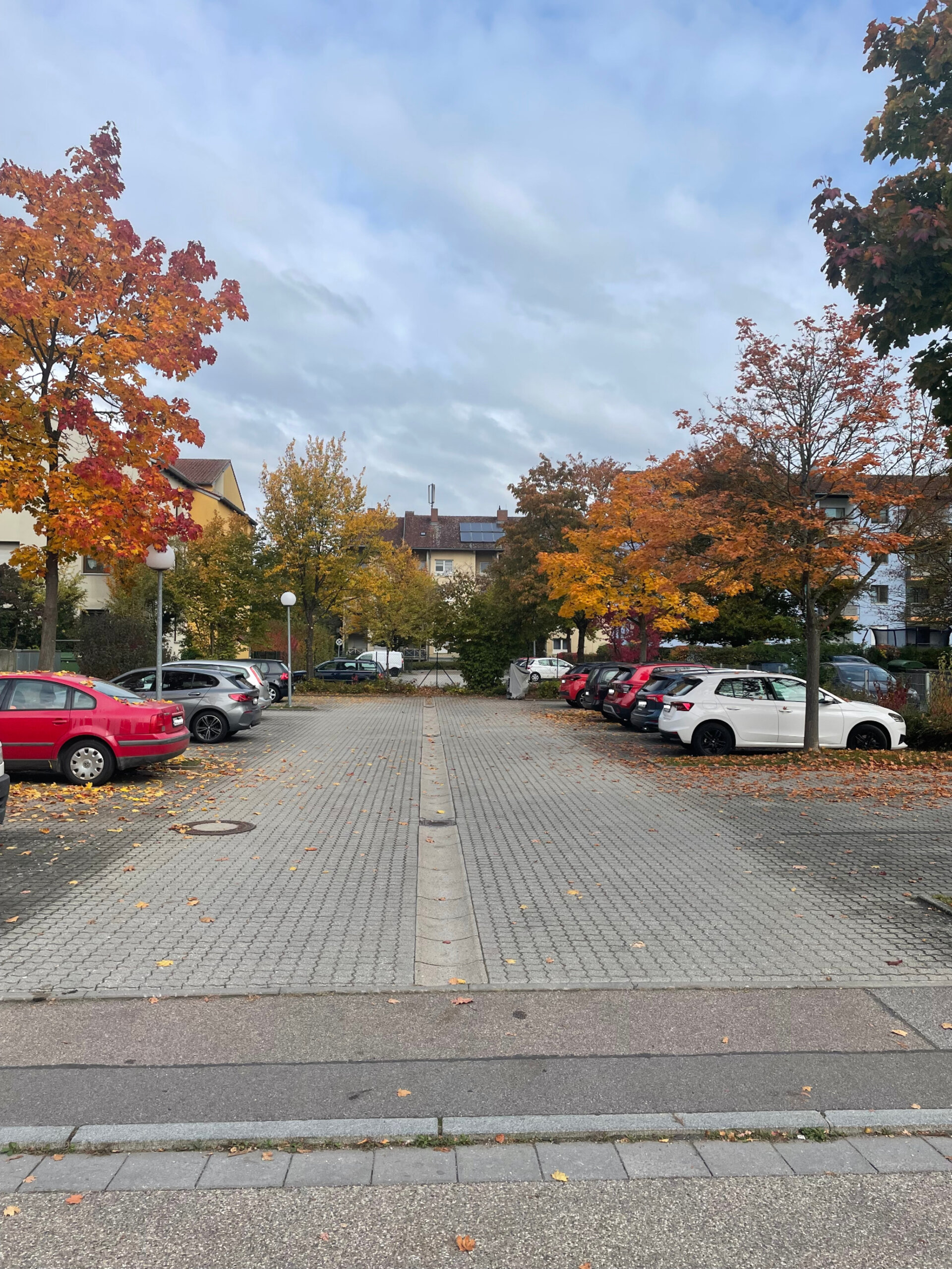 IMG_1288.jpeg | © Dawonia