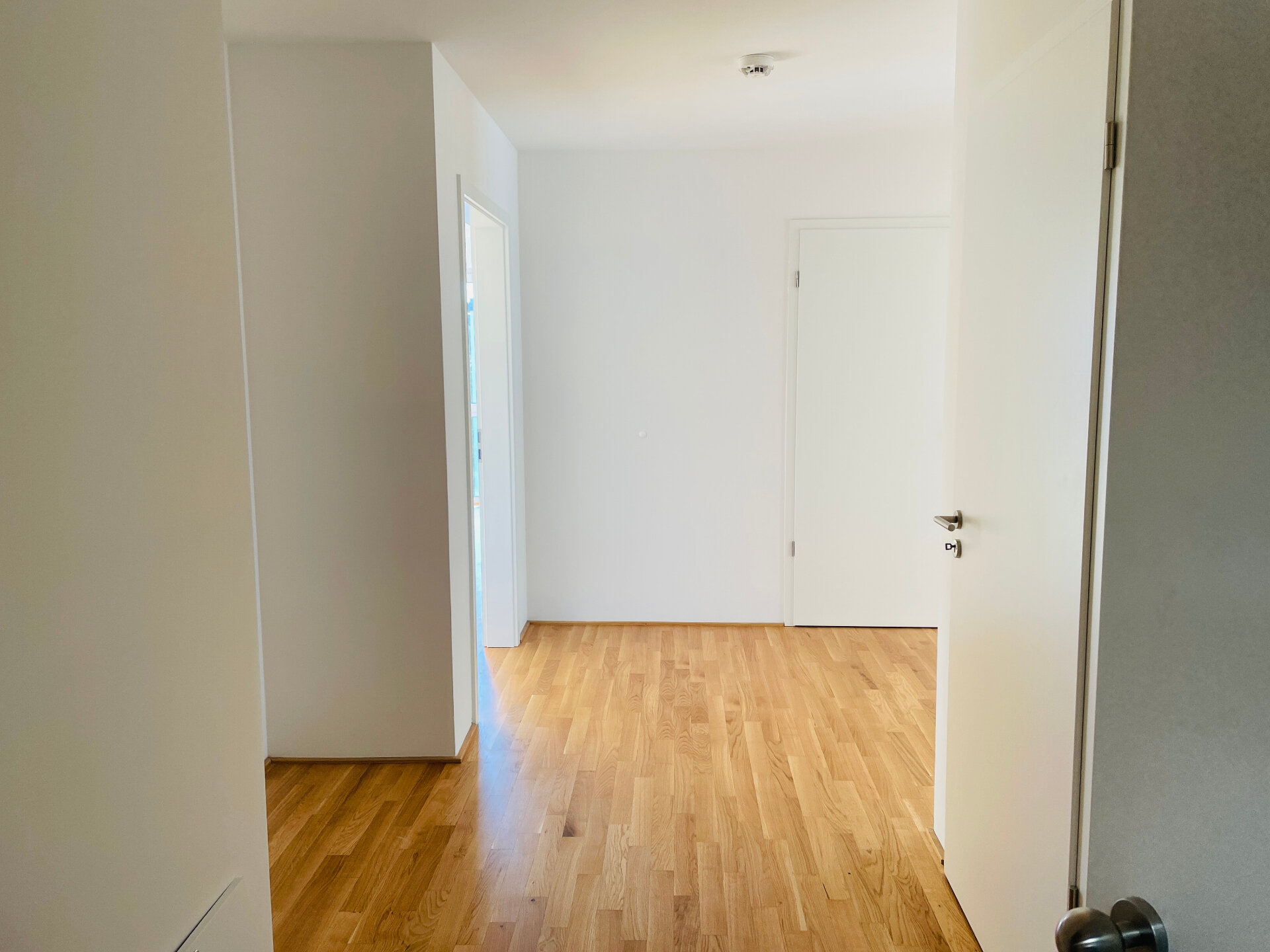 Diele.jpg | © Dawonia