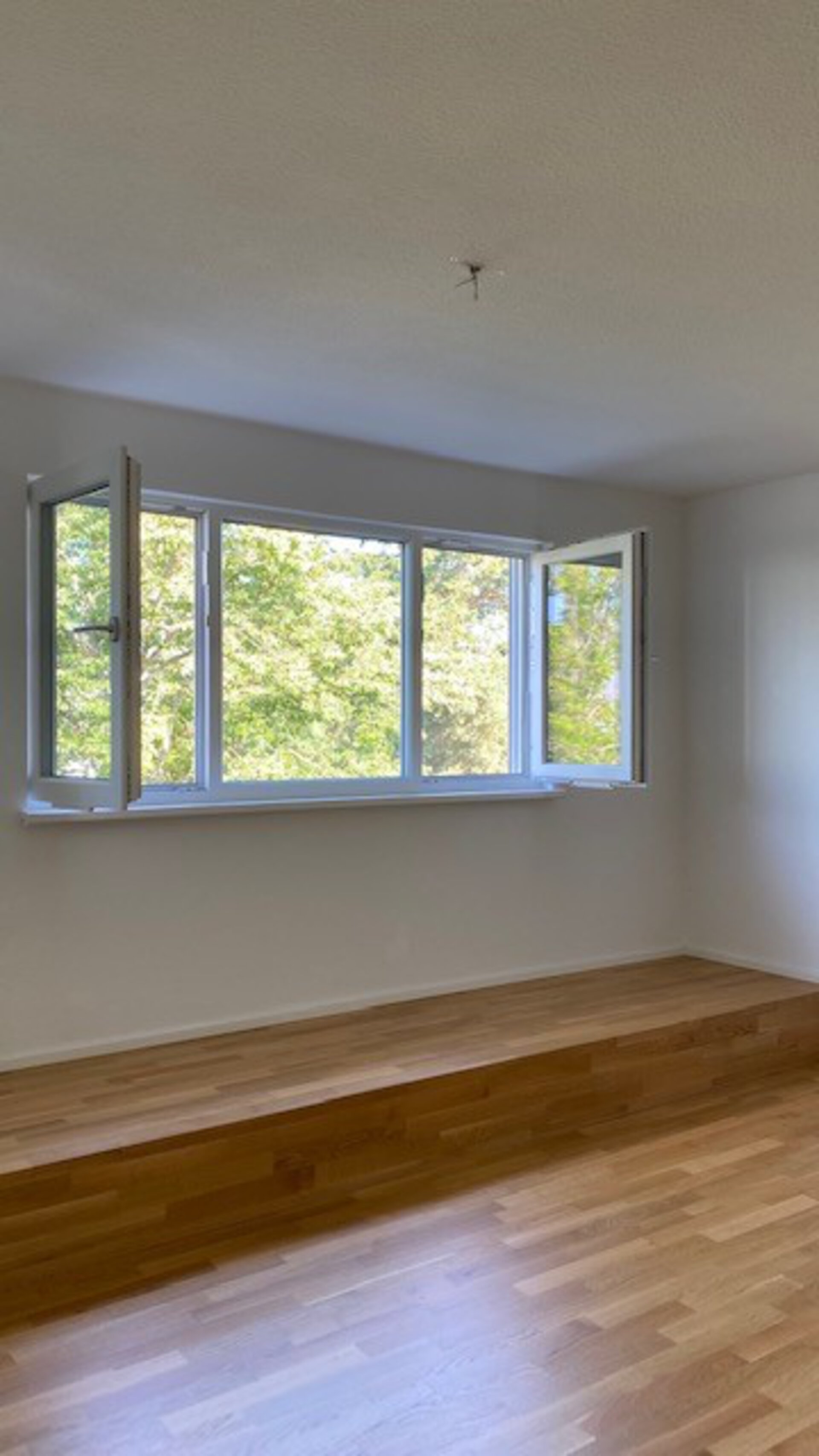 hell & freundlich | © Dawonia