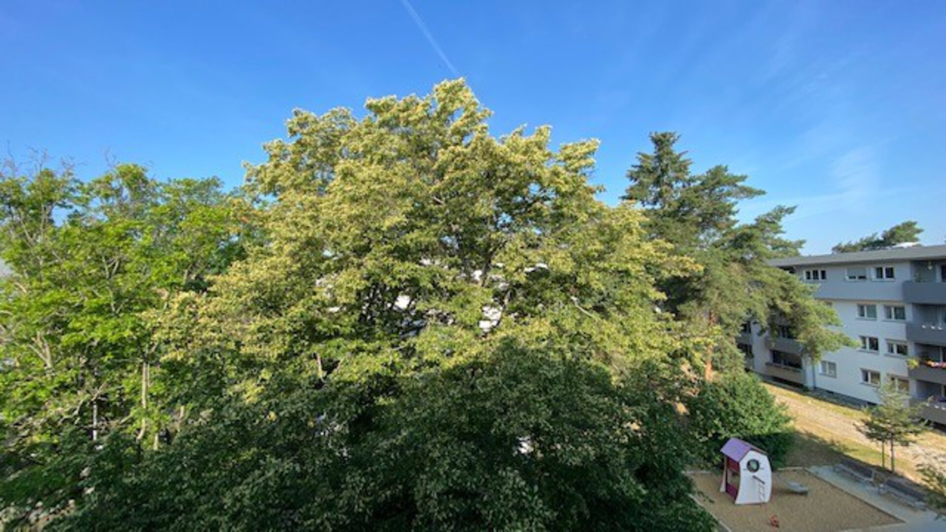 Blick aus dem Fenster | © Dawonia