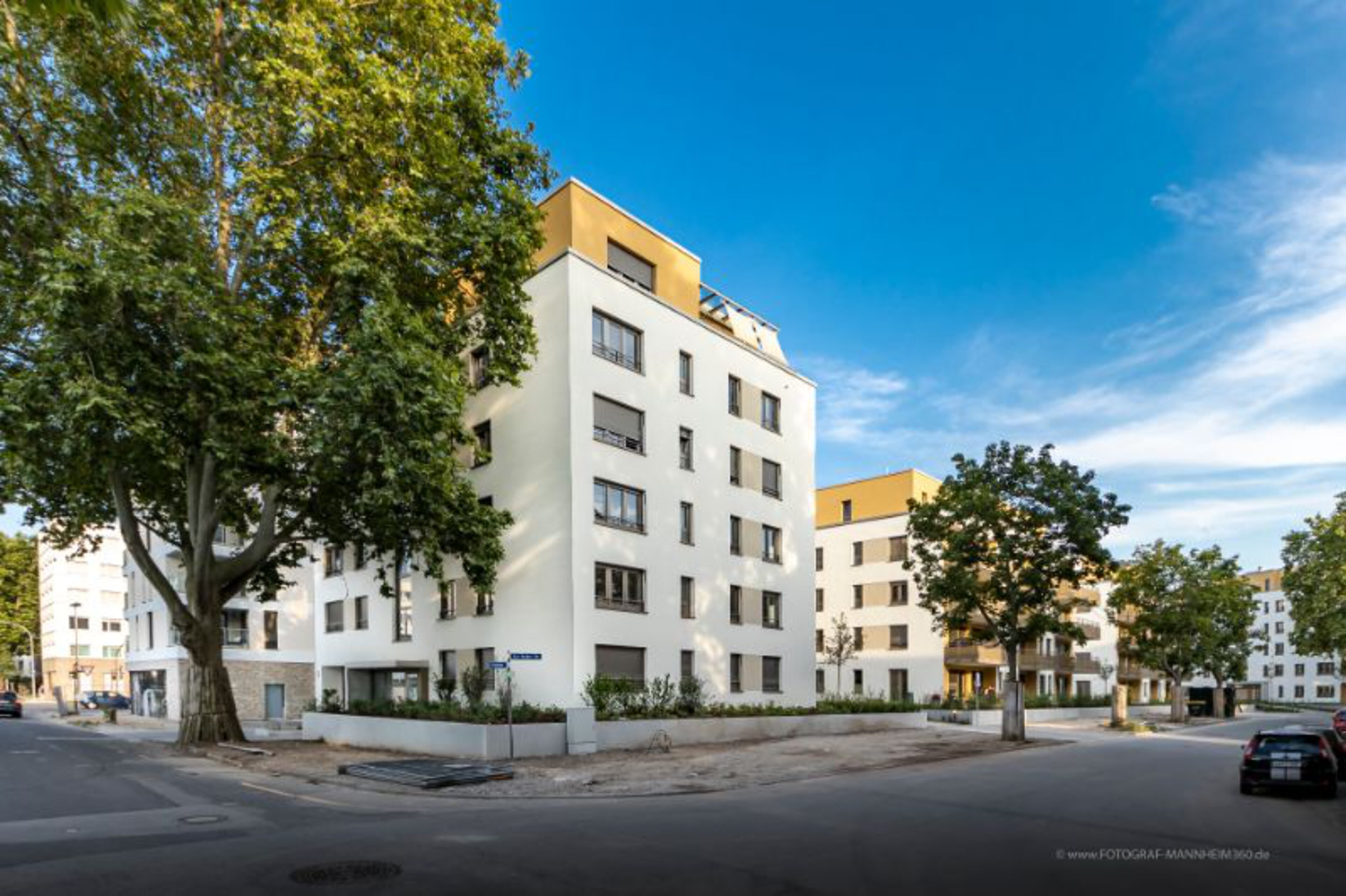 3 Zimmer, 114 m² in Ludwigshafen am Rhein – Bild 8