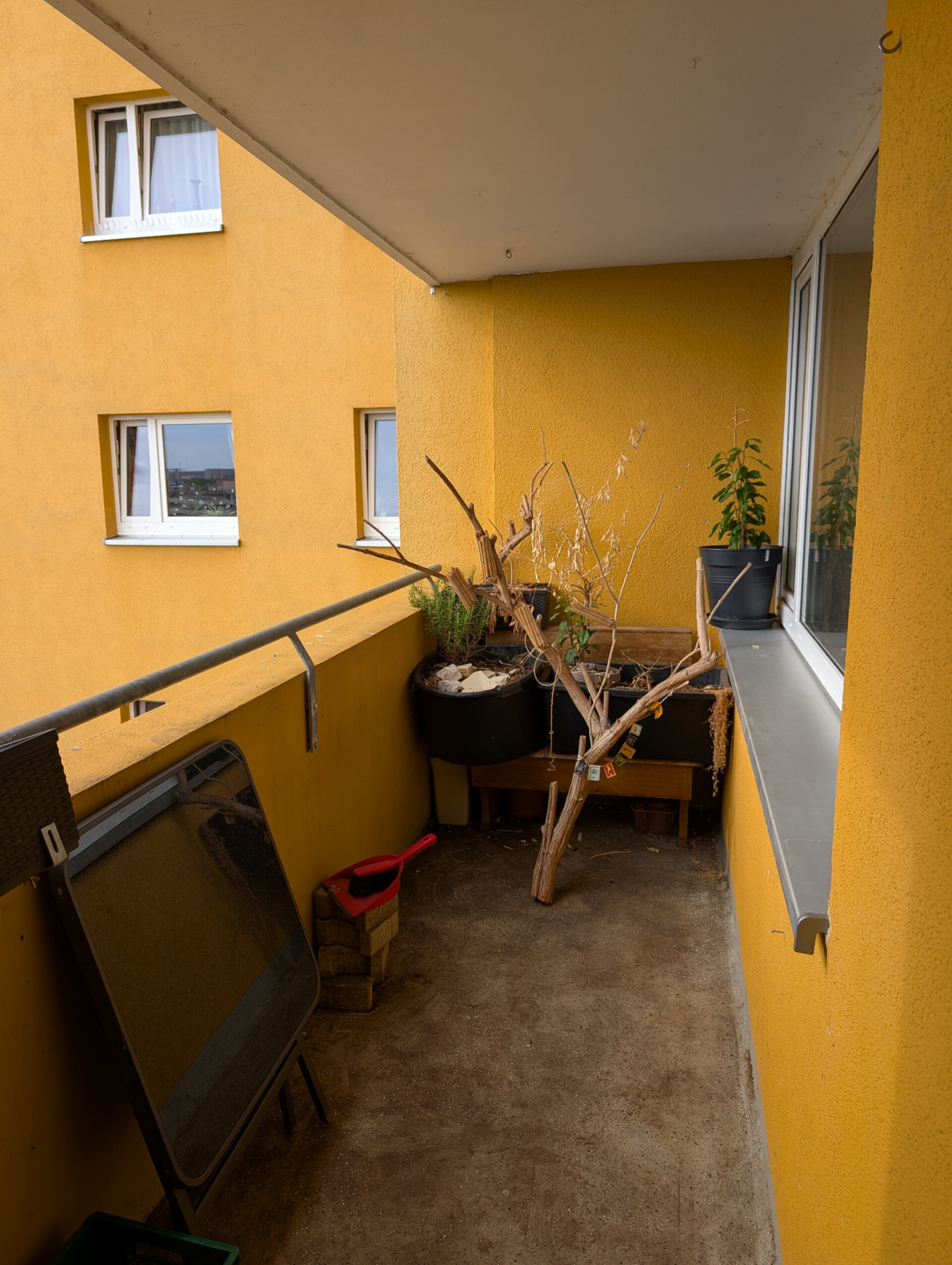 Balkon | © Dawonia